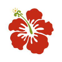 ราคา ตัวรีดติดเสื้อดอกชบา ลายใหม่ สวยๆ FP 02 รีดติดง่ายทุกเนื้อผ้า (21993657839)