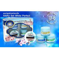 ราคา ครีมชุดฮารุ สีฟ้า HARU WHITENING CREAM ช่วยบำรุงหน้าขาวใส สำหรับทุกสภาพผิว ครบชุด (9959734638)