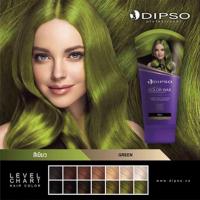 ราคา Dipso Super Shine Hair Color Wax ดิ๊ฟโซ่ แว็กซ์สี 150กรัม (9939078266)