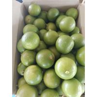 ราคา มะนาวสด3กิโลกรัม100บาท (22065241731)