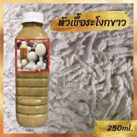 ราคา หัวเชื้อเห็ดตะไคล เข้มข้น100 เห็ดระโงก เห็ดเผาะ เห็ดตับเต่า เห็ดไคล เชื้อเห็ด (22044270528)