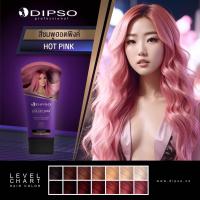 ราคา ดิ๊ฟโซ่ แว๊กซ์เปลี่ยนสีผม 150 มล Dipso Hair Color Wax แว็กสี เคลือบสี เคลือบเงา (21888977545)