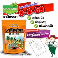 ราคา ชาลีเฟรท 0 0 60 ชาลีโปร โพแทสเซียมคลอไรด์ ปุ๋ยเคมีมาตรฐาน ขนาด บรรจุ 1 กิโลกรัม (22055478390)
