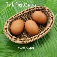 ราคา ไข่ ไข่ปลอม ไข่เป็ด ไข่ไก่ปลอม ไข่นกกะทา เหมือนจริง ไข่แต่งร้านค้า ตู้อาหาร แต่งบ้าน ไข่ของเล่น บทบาทสมมติ พร๊อพถ่ายรูป (20217407058)