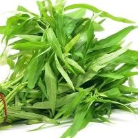 ราคา 400 เมล็ด ผักบุ้งจีน ปลูกง่าย อายุเก็บเกี่ยวสั้น ปลูกในน้ำได้ Chinese Convolvulus Seeds (21580167981)