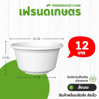 ราคา กระถาง ทรงถ้วย เลดี้ ขนาด 6 นิ้ว สีดำ สีขาว สีเทา สีอิฐ (21399700142)