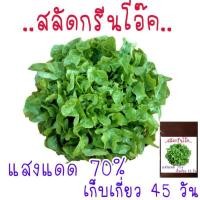 ราคา 100 เมล็ด ผักสลัดกรีนโอ๊ค Green oak (21956422719)