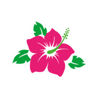 ราคา ตัวรีดติดเสื้อดอกชบา ลายใหม่ สวยๆ FP 02 รีดติดง่ายทุกเนื้อผ้า (21993657788)