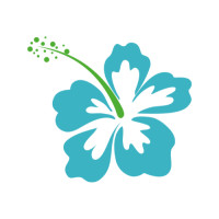 ราคา ตัวรีดติดเสื้อดอกชบา ลายใหม่ สวยๆ FP 02 รีดติดง่ายทุกเนื้อผ้า (21993657830)