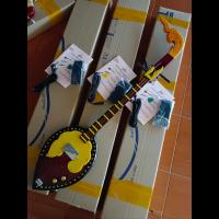 ราคา พิณไฟฟ้า พิณโปร่งไฟฟ้า มาตรฐาน เสียงดี (21587412023)