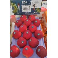 ราคา แอปเปิ้ล แดซเซิล นิวซีแลนด์ Dazzle NZ 3035 ลูก ลัง ลูกใหญ่ แอปเปิ้ล นำเข้าจากนิวซีแลนด์ (21993567106)