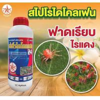 ราคา สไปโรไดโคลเฟน 24 ตราดาว คูตี้ กลุ่มเดียวกับโอเบรอน 1ลิตร ถูกที่สุด สารกลุ่มใหม่กำจัดไรแดง ไรขาว แมงมุม คุมได้15 วัน (21336252839)