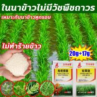 ราคา ในนาข้าวไม่มีวัชพืชถาวร ยาคุมหญ้าข้าว ไม่ทำร้ายข้าว ยาฆ่าหญ้าในนาข้าว 37g เหมาะกับนาข้าวทุกรอบ ยาฆ่าหญ้าในนา รายได้ข้าวเพิ่มขึ้น200 คุมฆ่าในนาข้าว ประหยัดข้าวจากวัชพืช สารกำจัดวัชพืชในนาข้าว ยาคุมหญ้ 