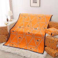 ราคา ผ้าห่ม ผ้าห่มนาโน พร้อมกล่อง ผ้าห่ม Dior LOUIS VUITTON MCM GUCCI HERMES Supreme BURBERRY FENDI Micky BALENCIAGA YSL ผ้าห่มแบรนด์เนม คุณภาพดี ราคาถูกดี (20676959960)