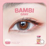 ราคา คอนแทคเลนส์ คิตตี้ คาวาอิ Bambi Gray (16741270453)