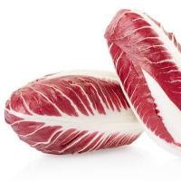 ราคา 50 เมล็ด เมล็ดผัก แรดิชิโอ แรดิชชิโอ Radicchio เป็นผักในตระกูลผักกาดหอม ผักปลอดสารพิษ สวนครัว เหมาะแก่การทำสวน Vegetable Seeds (21527148554)