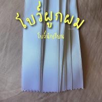 ราคา Yay ysatt โบว์ผูกผม โบว์ผูกผมนักเรียน โบว์นักเรียน โบว์มัดผม โบว์ดำ โบว์น้ำตาล โบว์น้ำเงิน โบว์ขาว โบว์แดง โบว์เทา โบว์สีพาสเทล โบว์สี (21963052067)