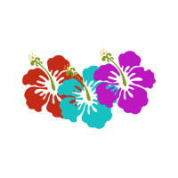 ราคา ตัวรีดติดเสื้อดอกชบา ลายใหม่ สวยๆ FP 02 รีดติดง่ายทุกเนื้อผ้า (21993657833)