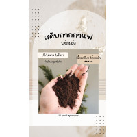 ราคา กากกาแฟขัดผิว ขนาด5 กรัม จำนวน10 แถม 1 สครับกาแฟ ผงกาแฟอบแห้ง กากกาแฟขัดผิว (22051388254)