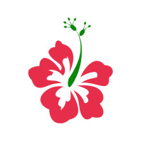 ราคา ตัวรีดติดเสื้อดอกชบา ลายใหม่ สวยๆ FP 02 รีดติดง่ายทุกเนื้อผ้า (21993657798)