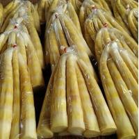 ราคา สดจากไร่ หน่อไม้เผาอัดถุง เผาแล้วนึ่ง หน่อไม้ซิ่ง หน่อไผ่ลวก เก็บได้นานเป็นปี ภูมิปัญญาท้องถิ่น หน่ออ่อนสวยคัดพิเศษ ร้าน ฟู๊ดบ้านนา ราคาส่ง ราคาถูก (21029714465)