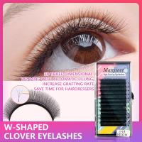 ราคา Clover ขนตา Clover ห้าใบ Clover อัพเกรดหนาอัตโนมัติดอกไม้ถัก 6D ขนตา (21554244944)