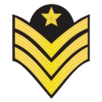 ราคา เครื่องหมายยศทหารอากาศ จ่าอากาศตรี จ่าอากาศโท จ่าอากาศเอก (12978433309)