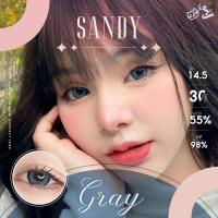ราคา คอนแทคเลนส์ รุ่น Sandy สีเทา ตาล Gray Brown มีค่าสายตา 0 00 5 00 เปลี่ยนแทนทุกเดือน (16975792802)