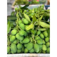 ราคา มะม่วงเบาสด1กิโลกรัม ของใต้แท้100 (22064912513)