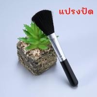 ราคา พร้อมส่ง แผ่นขูดรูป ภาพขูดสี ระบายสี แผ่นขูดภาพวิว DIY ขูดสี ฝึกศิลปะ ฝึกวาดรูป Scratch Art ขนาดA4 แถมไม้ขูดทุกชุด (14740281548)