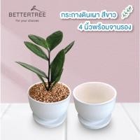 ราคา กระถางดินเผาสีขาว ขนาด 4 นิ้ว พร้อมจานรอง กระถางต้นไม้ กระถาง (21995602793)