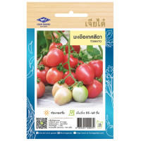 ราคา เมล็ดพันธ์ผัก ผักผล เจียไต๋ ผักสวนครัว ผักชี ต้นหอม พริกขี้หนูสวน (21596138199)