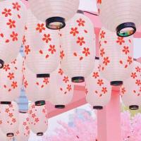 ราคา โคมไฟญี่ปุ่น โคมญี่ปุ่น โคมแดง โคมไฟประดับ โคมไฟร้านอาหารญี่ปุ่น ตกแต่งอิซากายะ japanese lantern (17237315267)