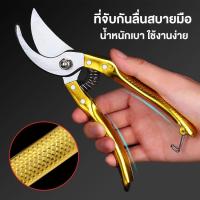 ราคา กรรไกรตัดกิ่ง กรรไกรตัดแต่งกิ่งไม้ สีทอง 8นิ้ว กรรไกรตัดกิ่งไม้ กรรไกรตัดผลไม้ สีทอง เหล็กทั้งตัว อย่างดี (22059215340)