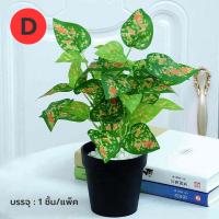 ราคา ต้นไม้ประดิษฐ์ ต้นไม้ปลอม ต้นไม้แต่งบ้าน ต้นไม้ปลอมขนาดเล็กพร้อมกระถางและหิน (15379924443)