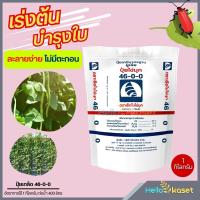 ราคา ปุ๋ยเคมี ปุ๋ยยูเรีย สูตร 46 0 0 ขนาด 1 กิโลกรัม เร่งต้น บำรุงต้น บำรุงใบ เร่งโต (21381434525)