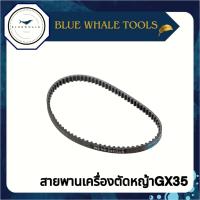 ราคา สายพานเครื่องตัดหญ้า4จังหวะGX35 อะไหล่เครื่องตัดหญ้า อะไหล่4จังหวะ สายพาน4จังหวะ (21350935022)