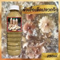 ราคา หัวเชื้อเห็ดปลวกจิก เห็ดโคน เข้มข้น100 เห็ดระโงก เห็ดเผาะ เห็ดตับเต่า เห็ดไคล เชื้อเห็ด (22044358010)