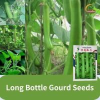 ราคา คุณภาพดี 25 เมล็ด แพ็ค Long Bottle Gourd Seeds เมล็ดพันธุ์ น้ำเต้ายาว คูกุซซี่ Cucuzzi Gourd Seed เมล็ดน้ำเต้ายาว เมล็ดพันธุ์น้ำเต้ายาว เมล็ดน้ำเต้า เมล็ดพันธุ์ น้ำเต้า พันธุ์ลูกยาว เมล็ดพืชผักระเบียง