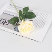 ราคา YTL ดอกไม้ กุหลาบ ไม้ประดิษฐ์ดอกกุหลาบ Rose ดอกกุหลาบช่อยาว ดอก ไม้ตกแต่งบ้านดอกกุหลาบ ดอกไม้ปลอม ดอกไม้ประดิษฐ์ ดอกกุหลาบปลอม ดอก (21728076414)