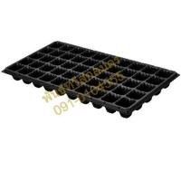 ราคา ถาดเพาะ กล้า ถาดเพาะชำ ถาดเพาะต้นกล้า ถาดเพาะต้นอ่อน ถาดเพาะเมล็ด ถาดเพาะปลูกผัก 32หลุม 50หลุม 60หลุม 104หลุม 105หลุม 200หลุม 288หลุม (21085929164)