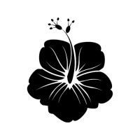 ราคา ตัวรีดติดเสื้อดอกชบา ลายใหม่ สวยๆ FP 02 รีดติดง่ายทุกเนื้อผ้า (21993657848)