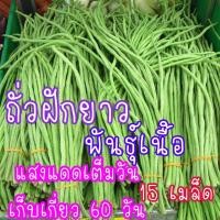 ราคา เมล็ด พันธุ์ ถั่วฝักยาวพันธุ์ เนื้อ 15เมล็ด (21956501080)