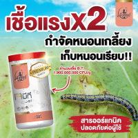 ราคา เจบีที ตราเจ้าทิพย์ ฆ่าหนอนกระทู้ หนอนชอนใบ หนอนเจาะ หนอนผีเสื้อ เห็นผลไว 2 3 วัน ใช้ได้กับพืชทุกชนิด สารออร์แกนิคไม่มีเคมี บรรจุ 500 g (21193787812)