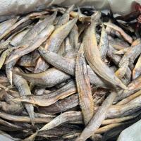 ราคา ปลาแห้ง ปลาหลดตากแห้ง ปลาหลด 1 kg ငမ ထ အထ ပ က ၁ က လ (20991309680)