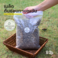 ราคา เมล็ดต้นอ่อนทานตะวัน ถุงละ 2kg เมล็ดพันธุ์ผัก เมล็ดเพาะงอกพร้อมปลูก ต้นอ่อนทานตะวัน ไร่จำรัส กรีนฟาร์มสุข (17809767761)