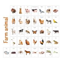 ราคา Flash card for Little Gallery แฟลชการ์ดสำหรับชุด Little Gallery (22043496186)