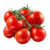 ราคา 50 เมล็ด มะเขือเทศ สายพันธุ์นอก เมล็ดผัก นิยมทานสด ปลูกได้ทุกฤดู Tomato Seeds สายพันธุ์ RED CHERRY (21250231029)