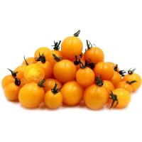 ราคา 50 เมล็ด มะเขือเทศ สายพันธุ์นอก เมล็ดผัก นิยมทานสด ปลูกได้ทุกฤดู Tomato Seeds สายพันธุ์ YELLOW CHERRY (21250219095)