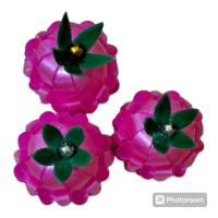 ราคา สับปะรดภูแลเหรียญโปรยทาน ภูแลเหรียญโปรยทาน ตัวเปล่า ขั้นต่ำ20ชิ้น (21801772355)